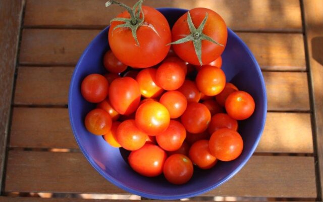 Aperanti Agrotourism