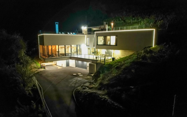 Villa Wineyard - VinoGrad