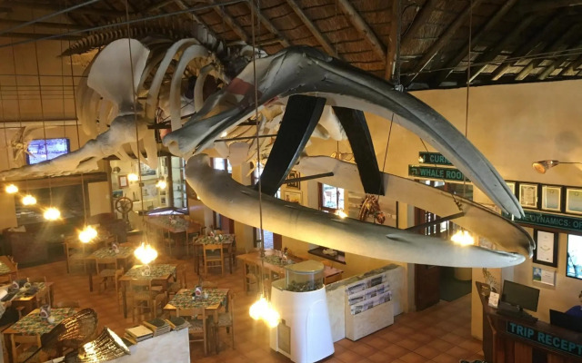 Casa Balena - Gansbaai seafront accommodation, back-up power