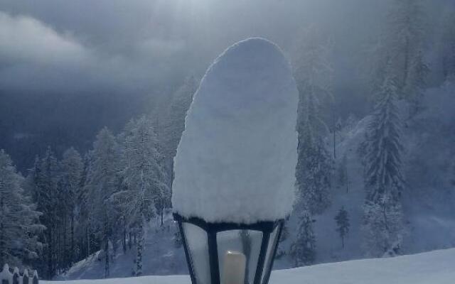 Chalet Niederhaushof