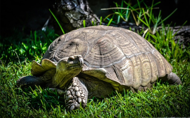 Radisson Blu Hotel Sandton