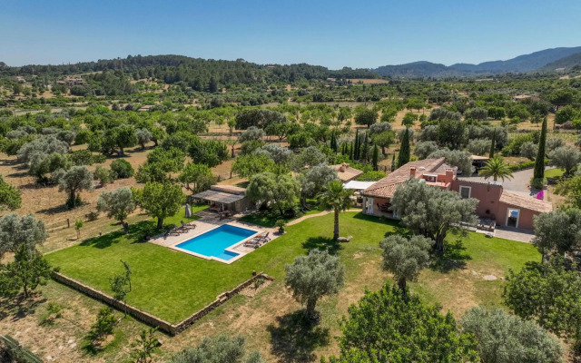 Selva - 3890, Mallorca