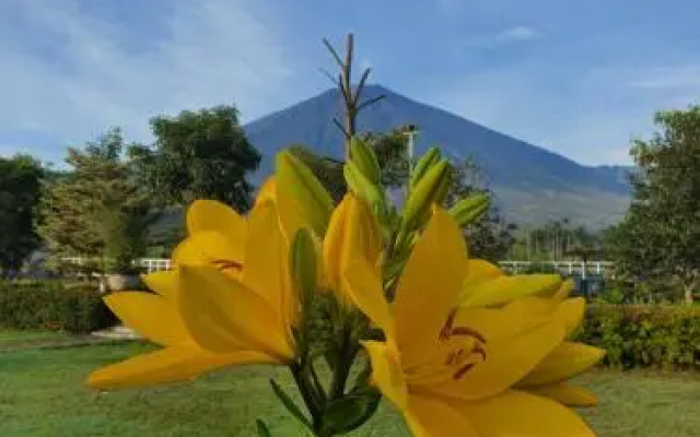 Nusantara Hotel Sembalun