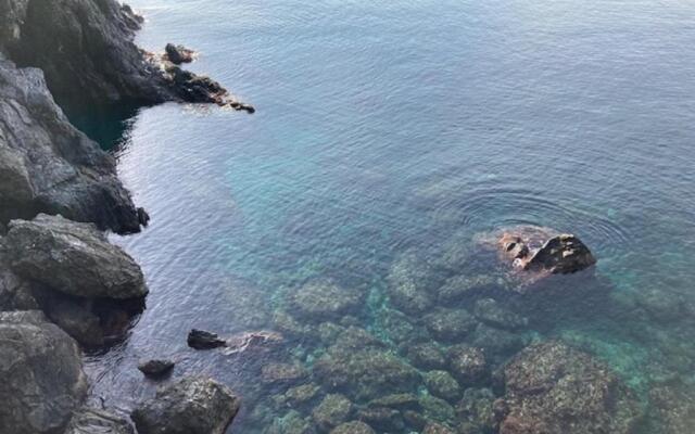 La GEMMA di Monterosso, In Centro vicino al mare