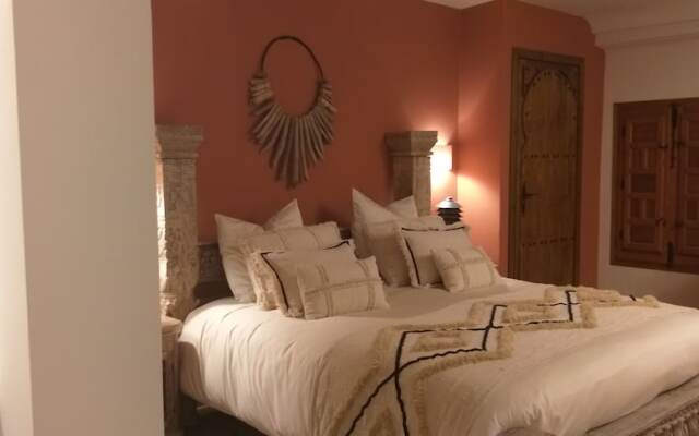 El Violin Experiencia