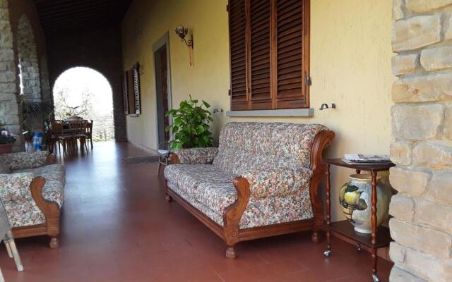 La collina degli olivi