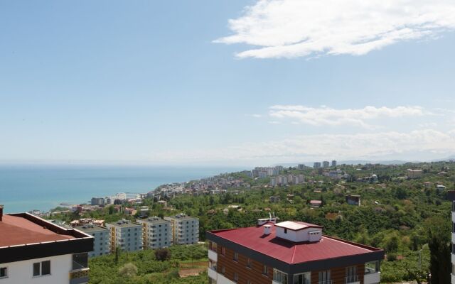 Golden Star Suites