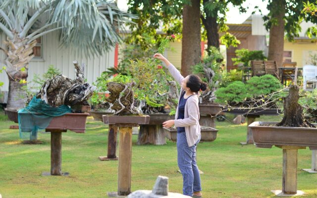 18 bonsai garden resort