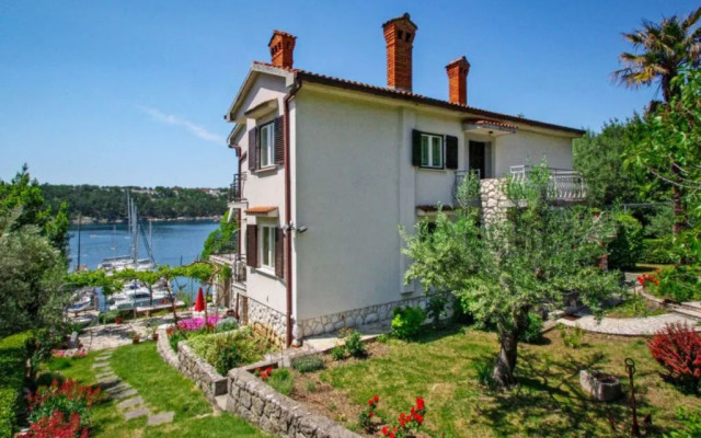Jelena - INH 32595