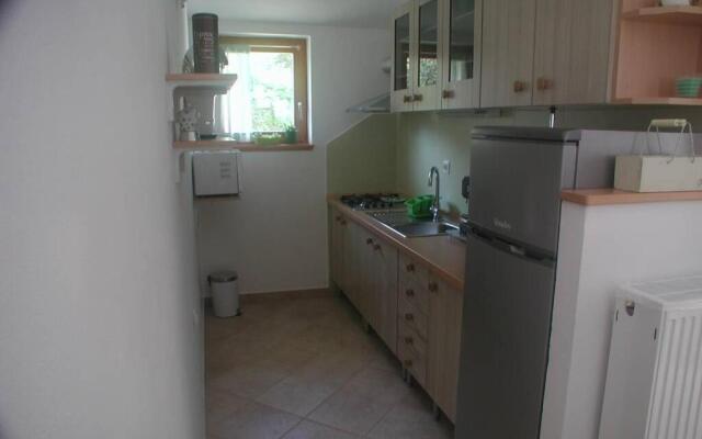 Štinjan-Studio apartment Petrić