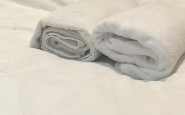 Transitional Havryky Apartment