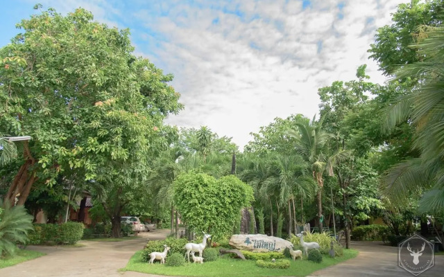 Maiyai Resort - Big Tree