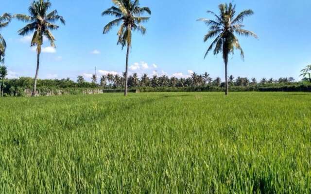 Ijen Miner Guest House