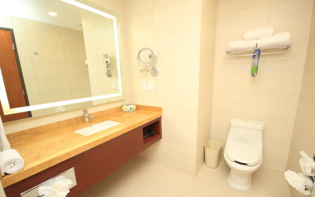 Holiday Inn Leon Plaza Mayor by IHG