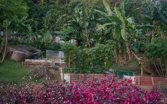 Evergreen Apartments