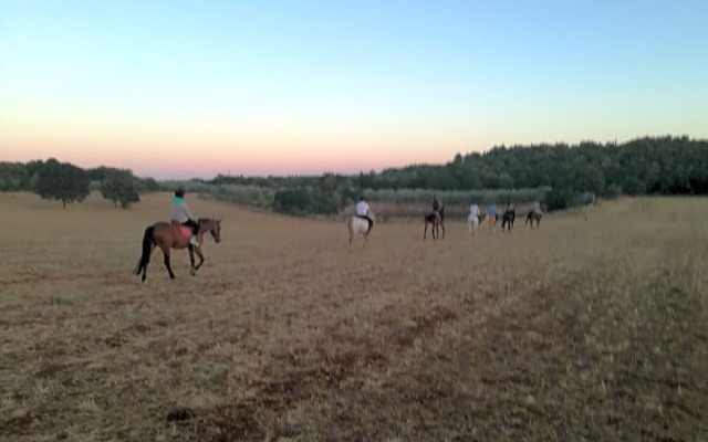 Agriturismo Fasano