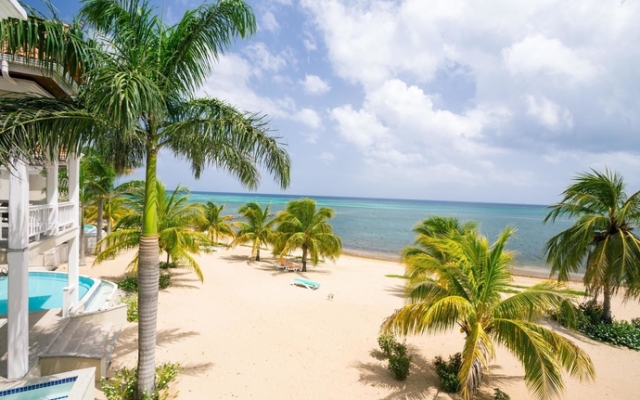 Lawson Rock Angelfish 202