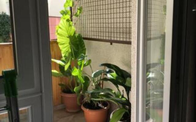 T2&T3 Rooms Levanto