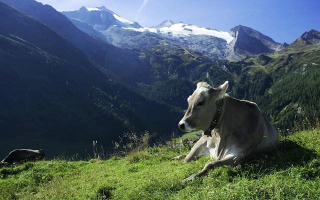 Superb Apartment in Stummerberg Austria near Ski Area