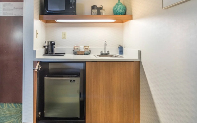 SpringHill Suites by Marriott Chicago Southwest at Burr Ridge/Hinsdale