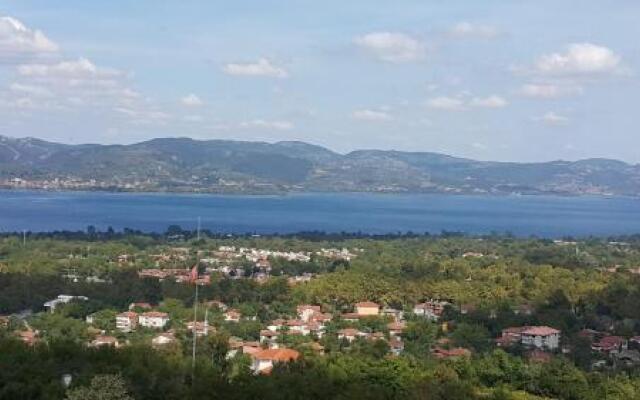 Pasha Villas
