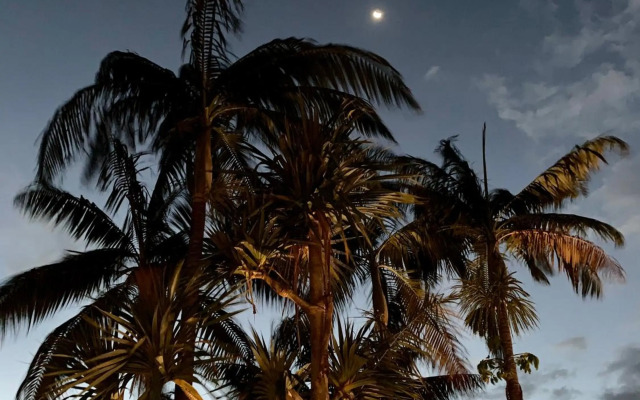 CÔTÉ SUD SAUVAGE- LOCATION SAISONNIERE - Maison de vacances