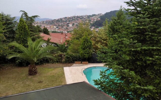 Cozy Home With Pool and Fireplace in Sapanca