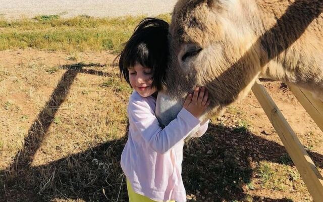 Agriturismo Masseria Galatea
