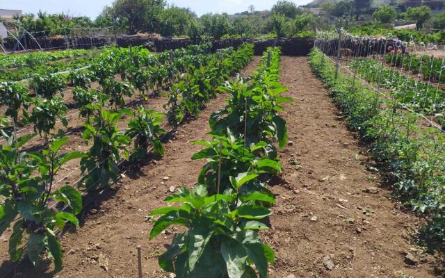Agriturismo Hibiscus