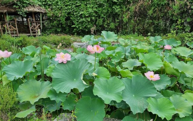 Tiffany Self Check-in Hotel