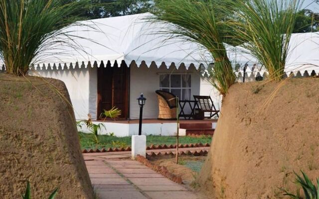 White Mushroom Jungle Cave