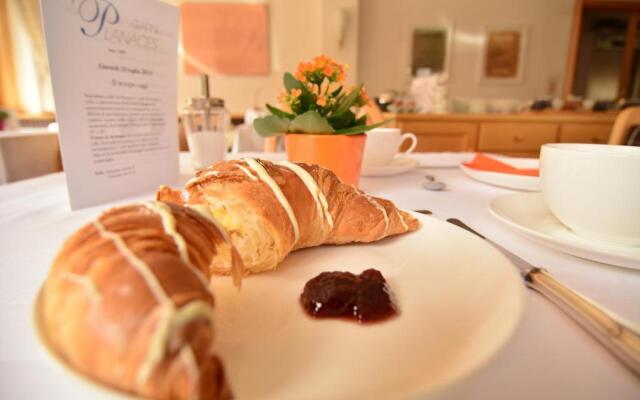 Hotel Garni Planaces