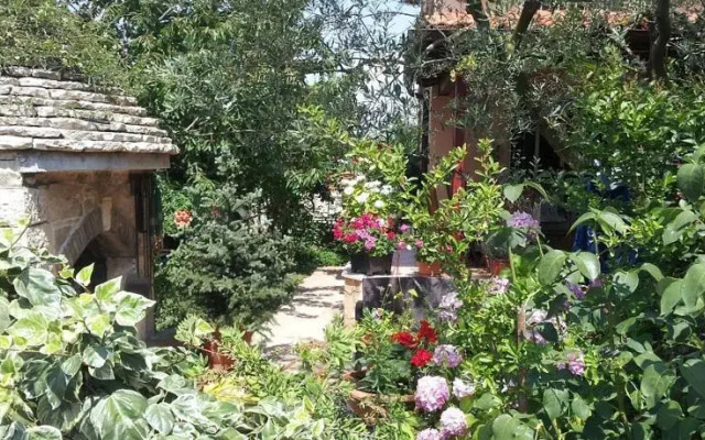 Vila Dolores