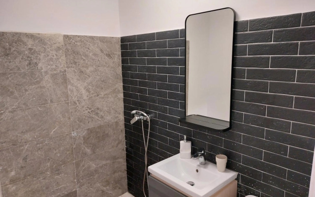 Piata Victoriei Arcul de Triumf Studio Apartment