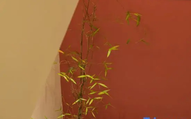 Yuebo Qicheng·Cultural Accommodation (Zhangzhou Gucheng Branch)