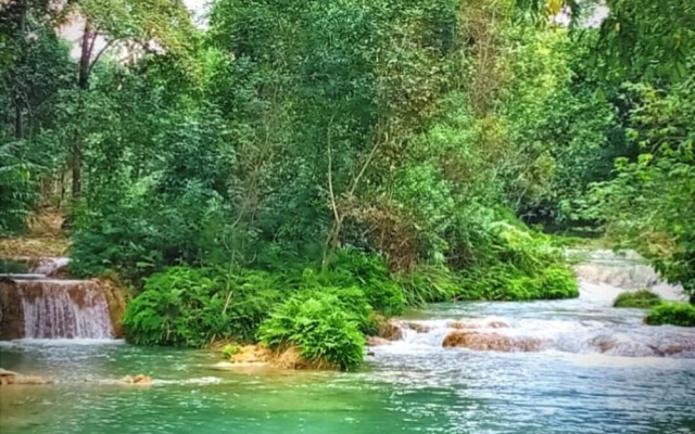 Room in Cabin - Cabanas Sierraverde Huasteca Potosina Highland Cabin