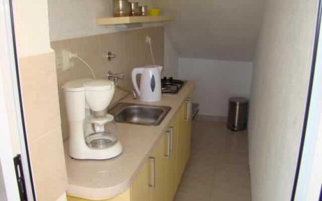 Apartment Puzak