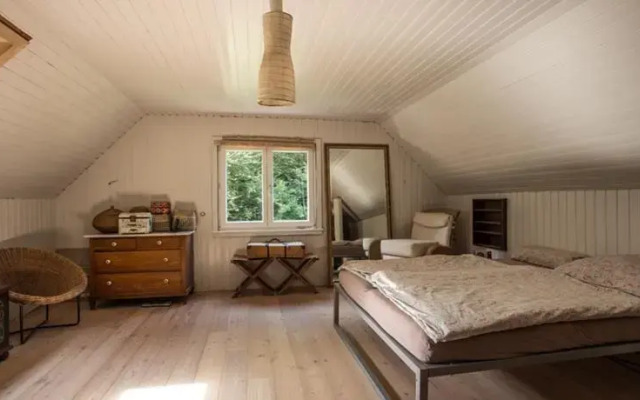 Ferienhaus Froschkönig