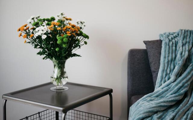 Nocosfera Apartament Serbinów