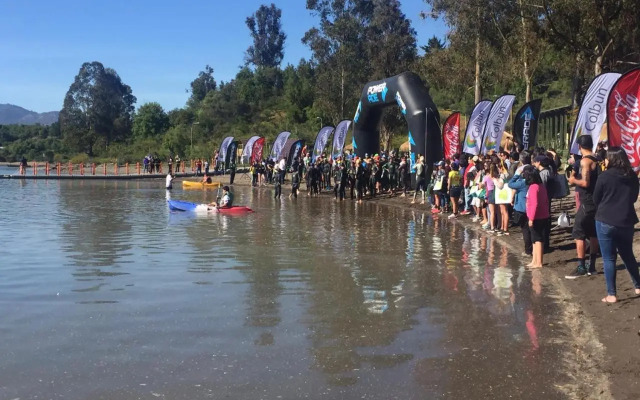 Cabañas Alfa Colbun Machicura