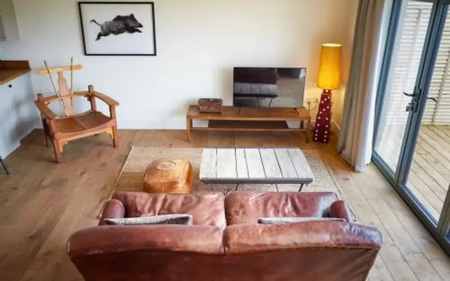 Host Stay Number One Piglets