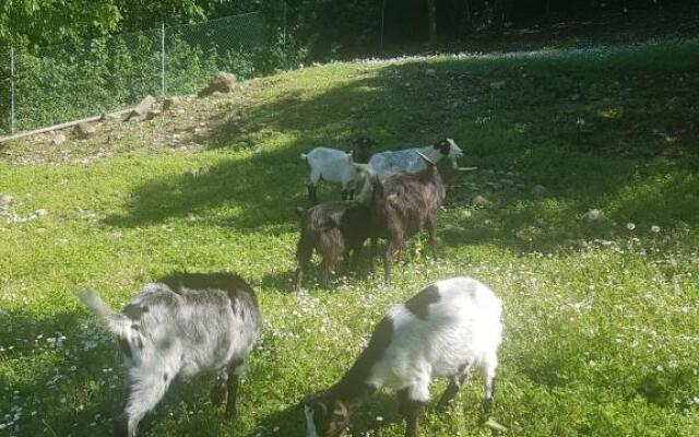 Agriturismo scannaporco