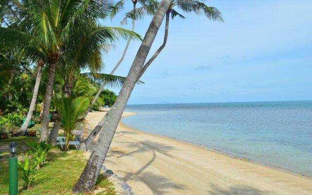 Green Coconut Village A4