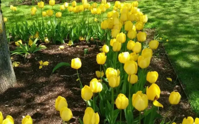 Helsinki Penthouse near the west harbor