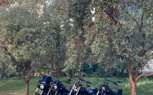 Hotel Ghironi