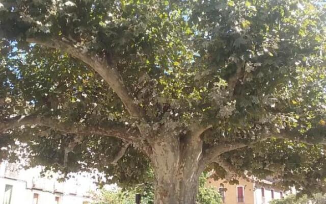 Meublé classé 2 * Vernet les Bains