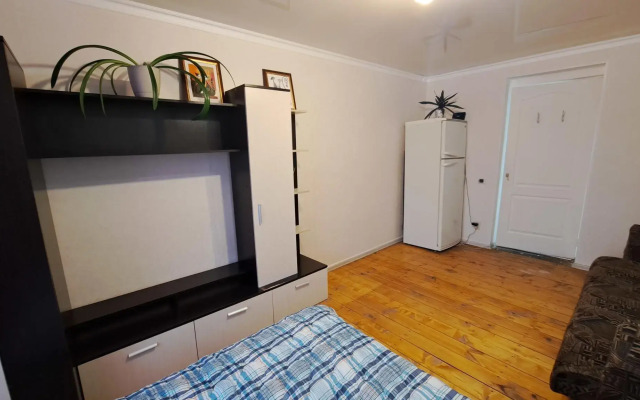 Апартаменты на улице Аустрина