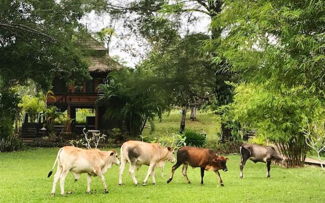 ThaiLife Wellness and Meditation Resort