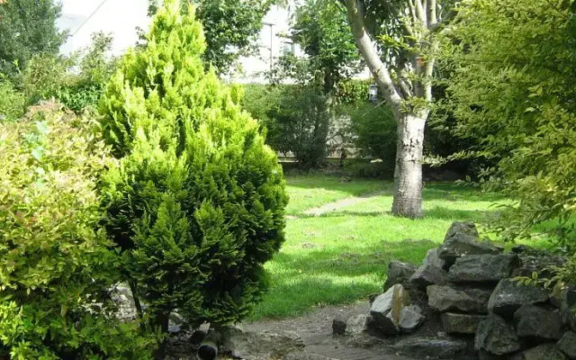 Saint Johns B&B