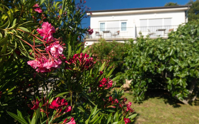 Studio Point of view